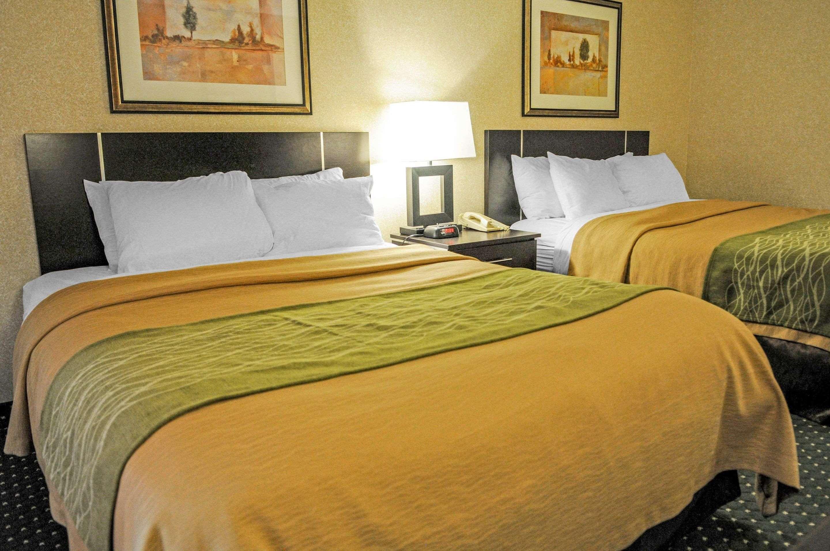 Comfort Inn & Suites Alameda At Albuquerque Balloon Fiesta Park Zewnętrze zdjęcie